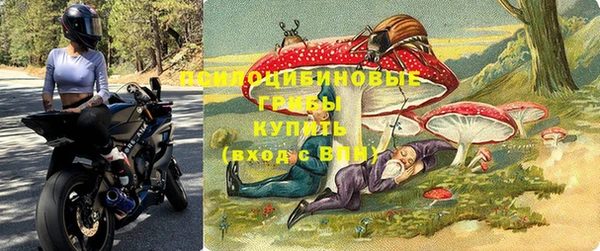 apvp Вязники