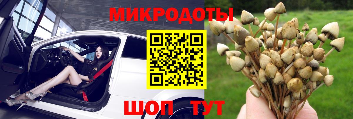 Галлюциногенные грибы прущие грибы Рузаевка
